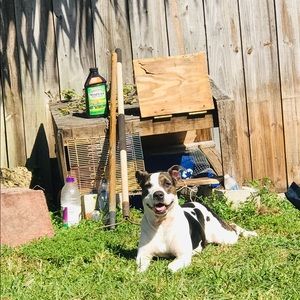 Meet your Posher, Shakira